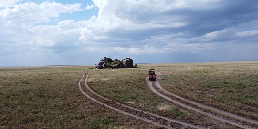 TourCompass-bil kører i Serengeti Nationalpark