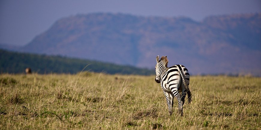 Masai Mara