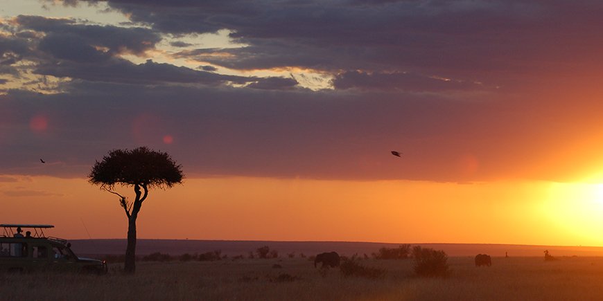 Masai Mara udsigt