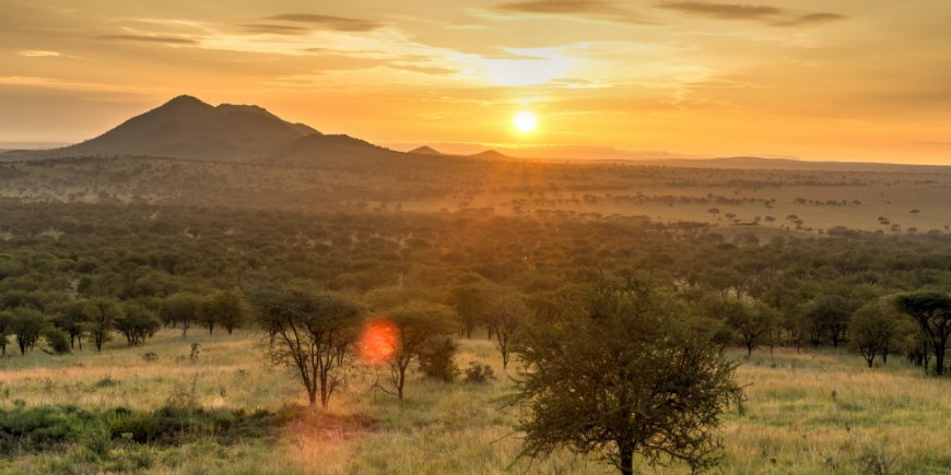 Sol i Serengeti