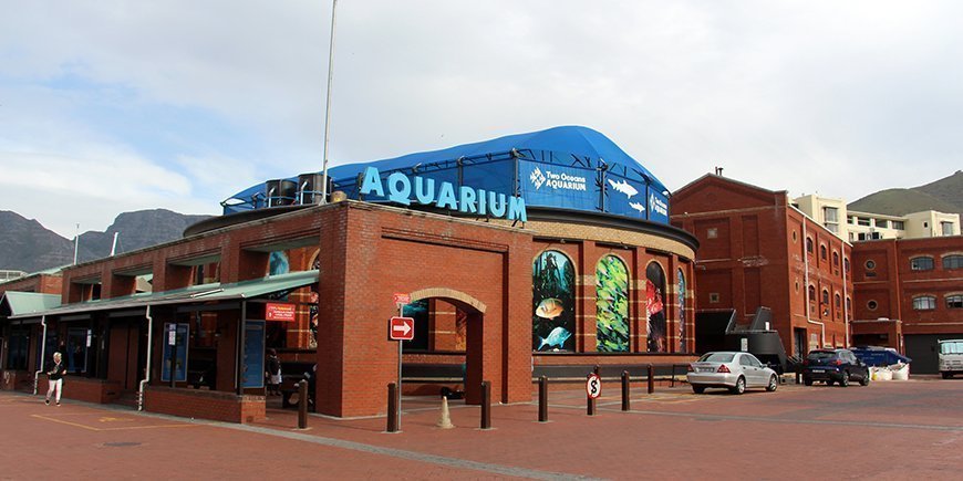 Cape Town Akvarium