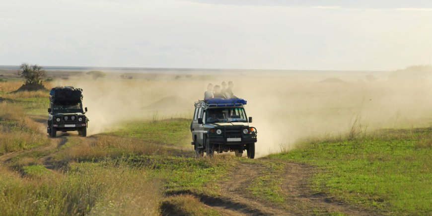 Drikkepenge safari