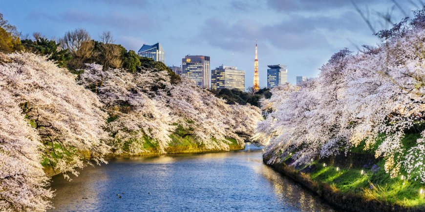 Tokyo