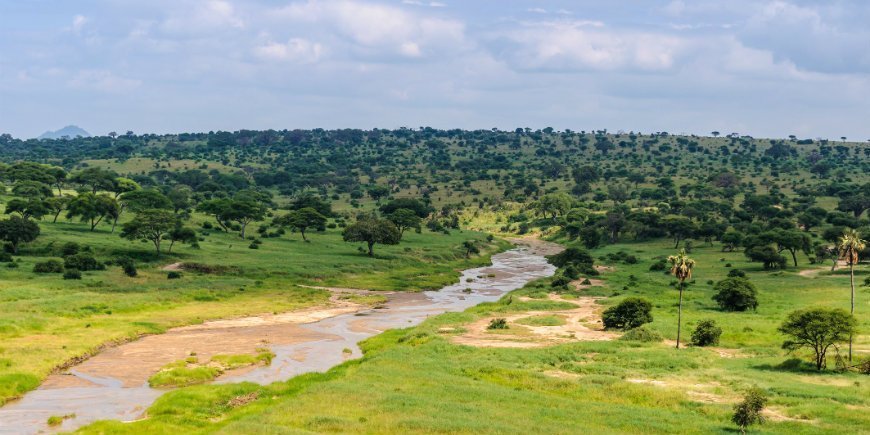 5 Tarangire natur