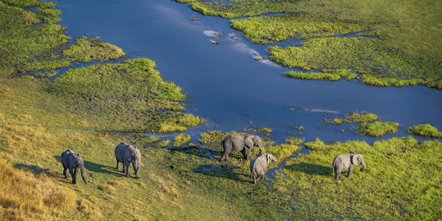 Okavango-delta