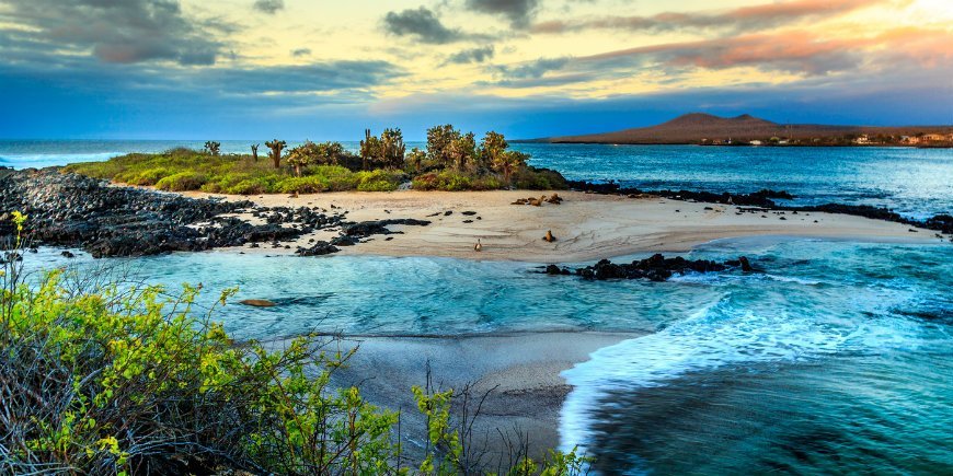 Cruise eller Øhop på Galapagos