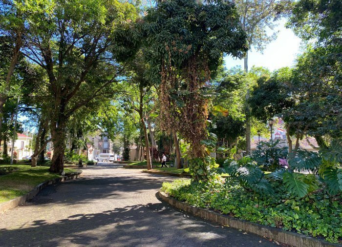 San José Parque España