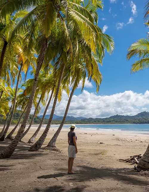 Costa Ricas højdepunkter med badeferie ved Playa Sámara