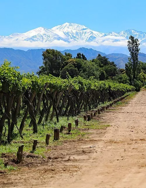Chile & Argentina: Andesbjerge, vin & Iguazú