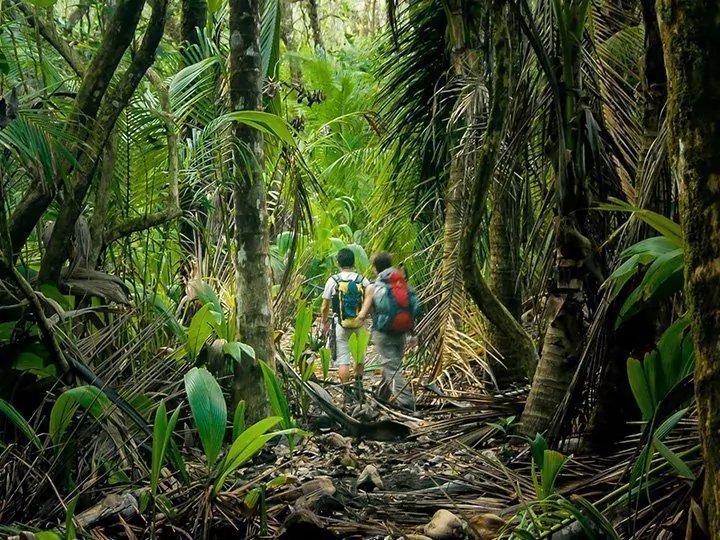 Costa Rica med Corcovado Nationalpark