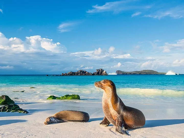 Ecuador / Galapagos