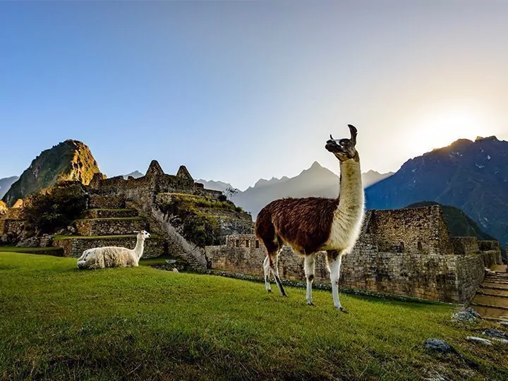 Peru