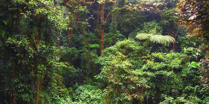 Monteverde Costa Rica