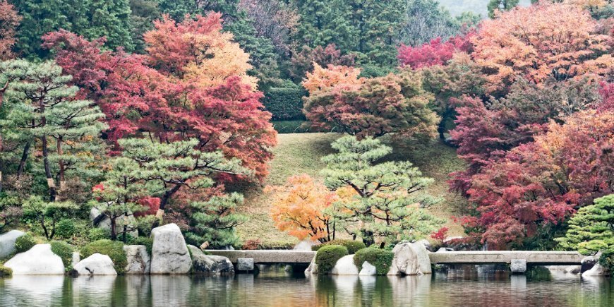 Koyo i Hiroshima