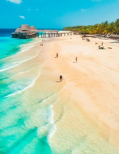 Badeferie på Zanzibar og safari i Nyerere Nationalpark