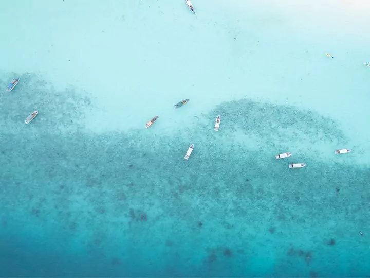 Badeferie på Zanzibar og safari i Nyerere Nationalpark