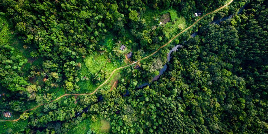 Luftfoto over Sinharaja Forest Reserve i Sri Lanka