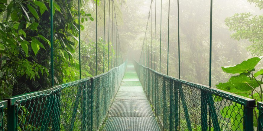 Hængebro i Monteverde