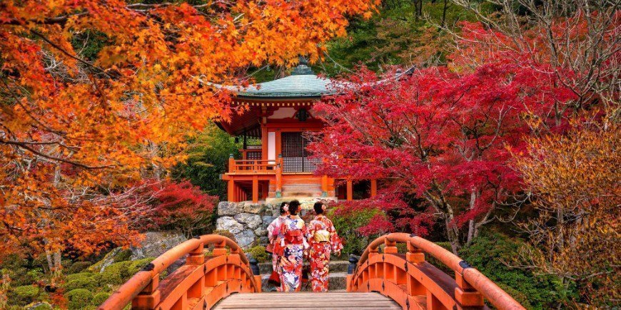 Unge kvinder iført traditionel japansk Yukata ved Daigo-ji templet om efteråret