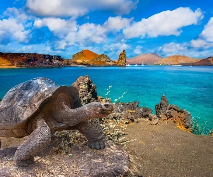 Peru & Ecuador med ø-hop på Galapagos