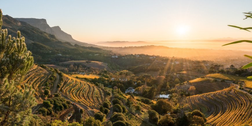 Contantia bjergklæden i Cape Town