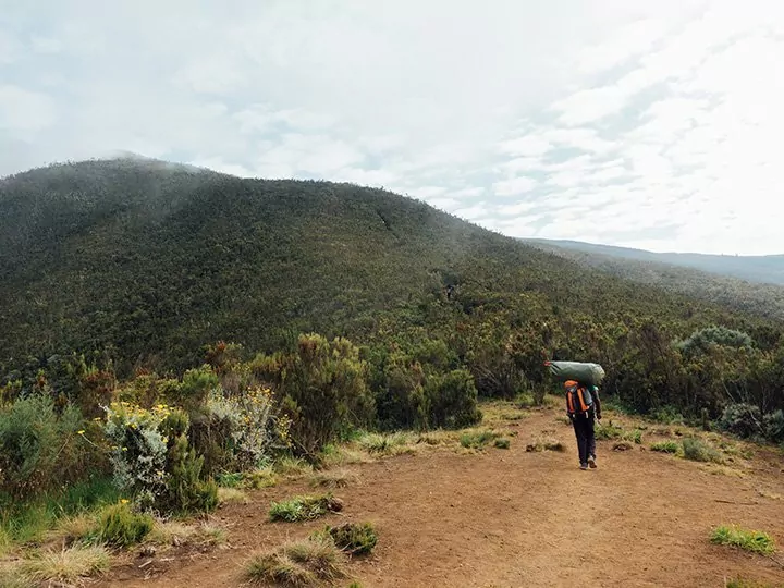 Arbejdsforhold for guider og bærere, Kilimanjaro