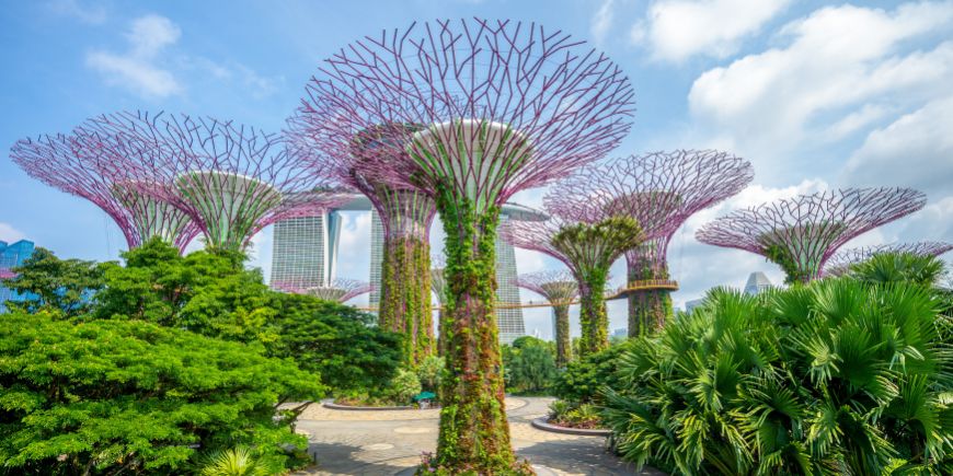 Gardens by the bay i Singapore