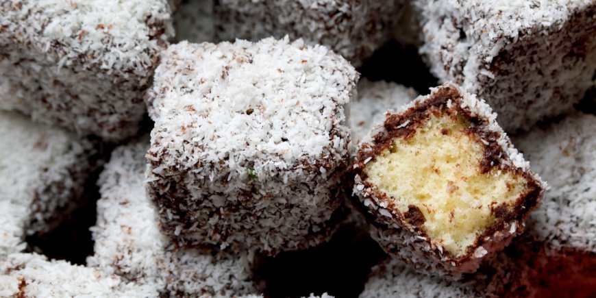 lamington kager