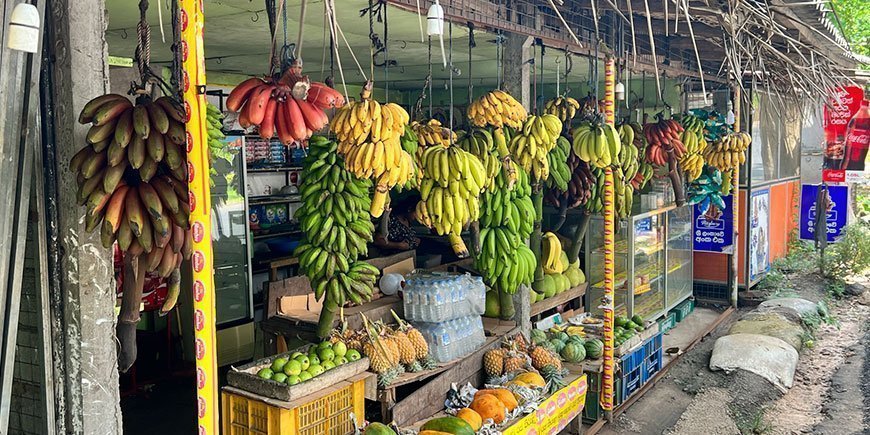 Vejbod med bananer i forskellige farver
