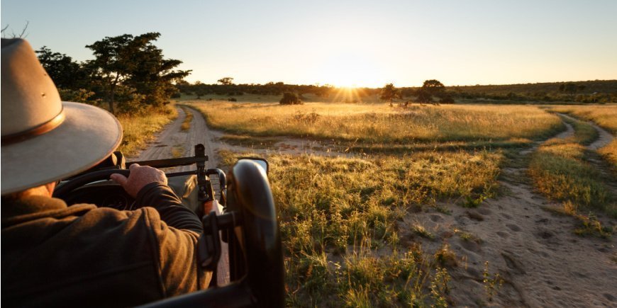 Safari i Sabi Sands Game Reserve