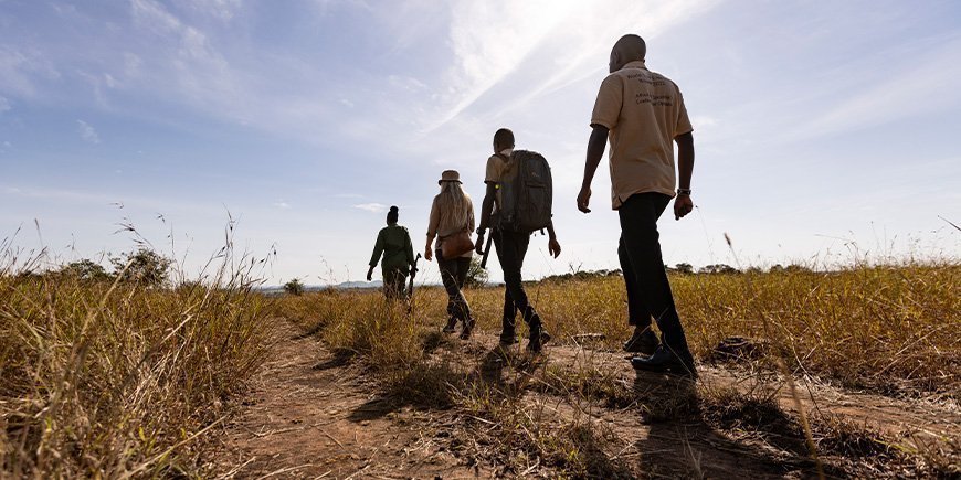 Gruppe af mennesker, der går på savannen i Tanzania