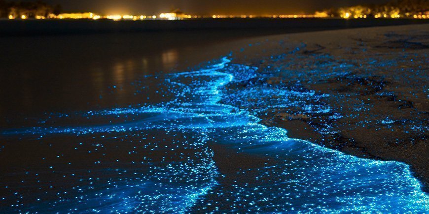 Lysende plankton på strand på Maldiverne