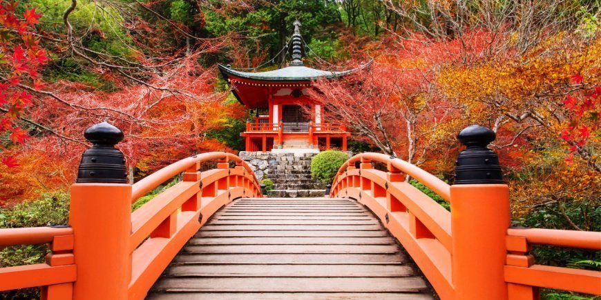 Koyo, træernes løvfald, ved Daigoji-templet i Kyoto