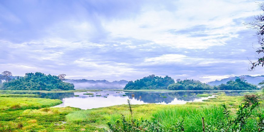 Udsigt til Crocodile Lake i Nam Cat Tien Nationalpark i Vietnam 