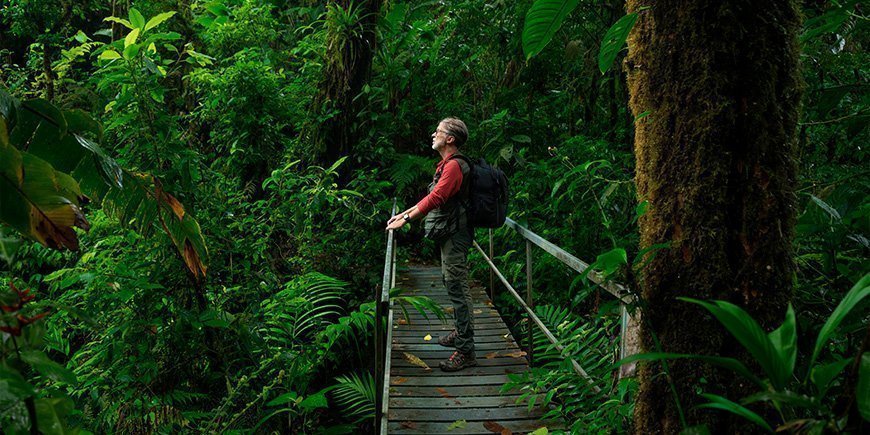 Mand står på en bro i den Costa Ricanske jungle