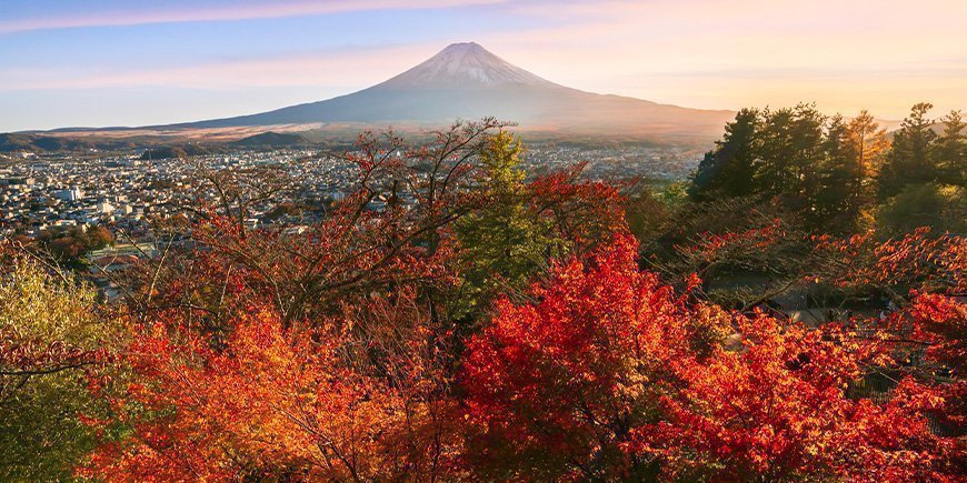 Efterårsfarver og udsigt til Mount Fuji i Japan