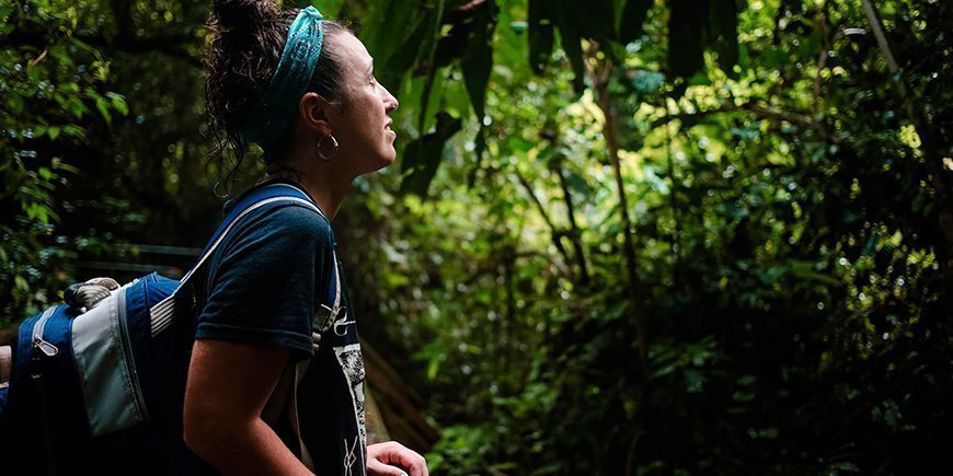 Kvinder kigger op i junglen i Costa Rica