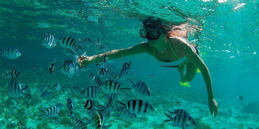kvinde snorkler i det Indiske Ocean ved Mauritius.