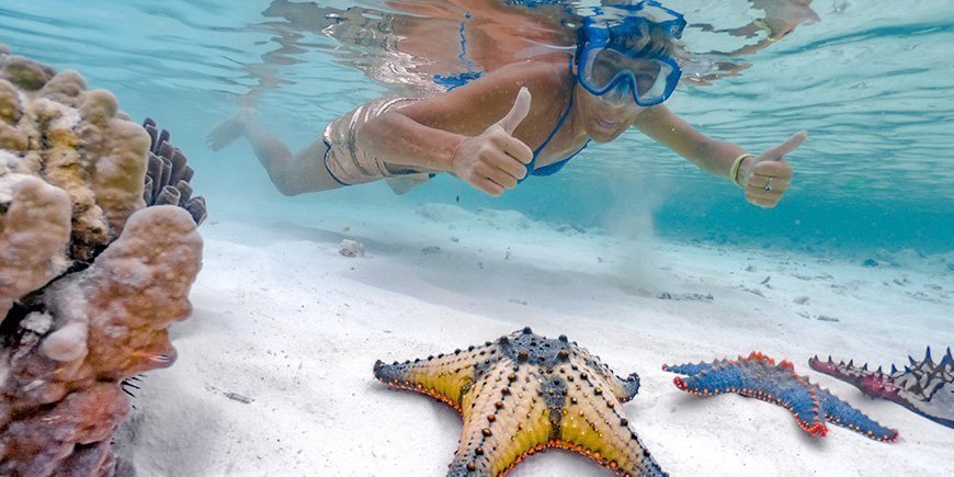 Kvinde snorkler på Zanzibar og finder søstjerner