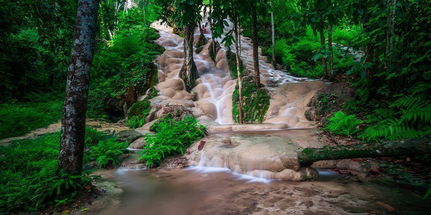 Bua Tong Sticky Waterfalls i Chiang Mai