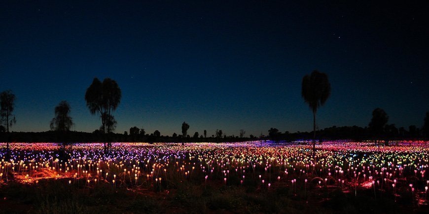 Field of Light ved Uluru i Australien