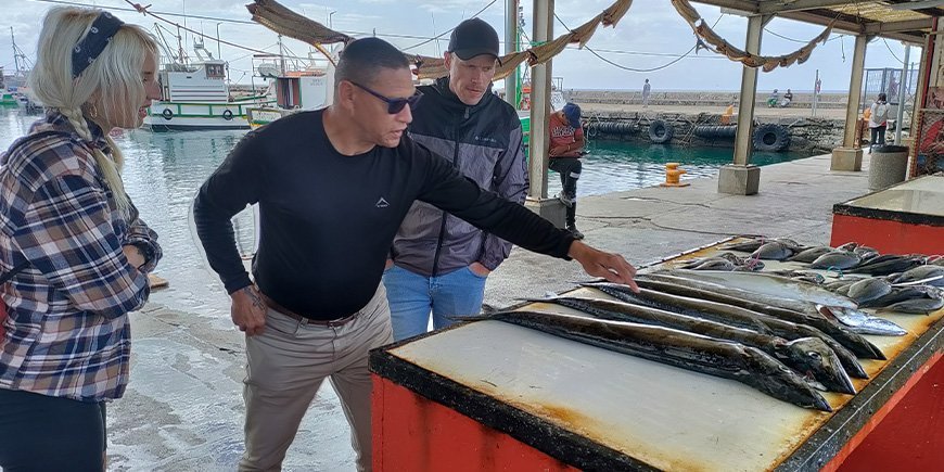 Mennesker der kigger på fisk i Kalk Bay