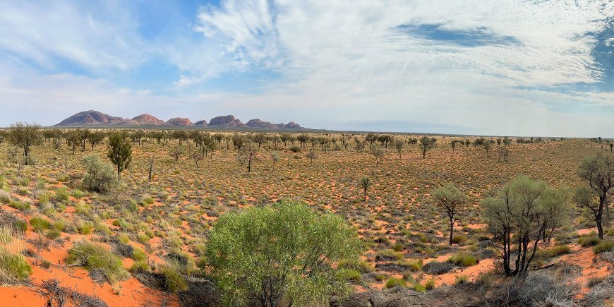 Omgivelserne ved Uluru og Kata Tjuta