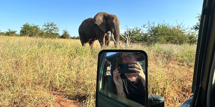 Kvinde tager billede af elefant fra bil