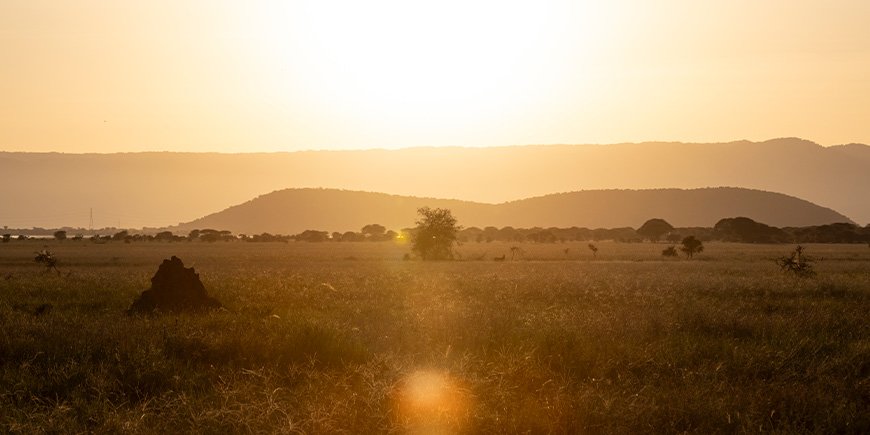 Solnedgang i Tarangire Nationalpark i Tanzania