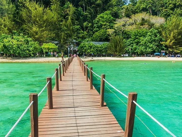 Dyreliv, Mt. Kinabalu-trek & badeferie på Gaya Island