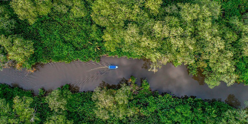 Rio Sierpe-floden set fra oven i Corcovado Nationalpark i Costa Rica