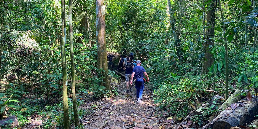En gruppe folk vandrer i Corcovado Nationalpark i Costa Rica