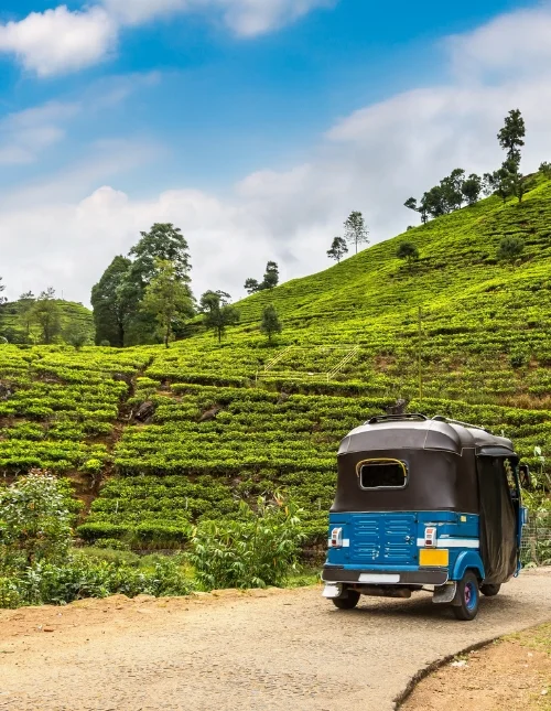 Det sydlige Sri Lanka
