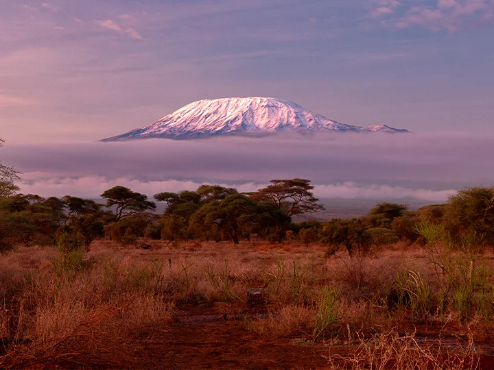 Safari i Amboseli Nationalpark & badeferie ved Mombasa